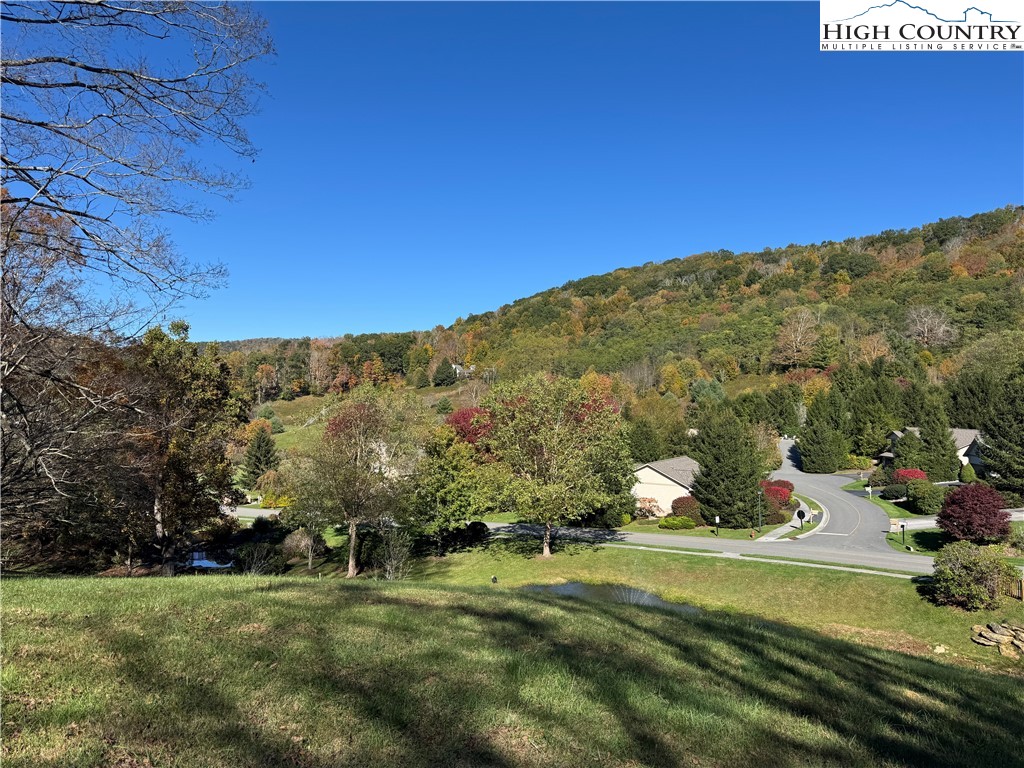 Lot #10 Orchard Lane Property Photo 12