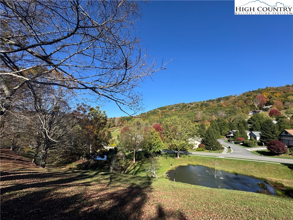 Lot #10 Orchard Lane Property Photo 13