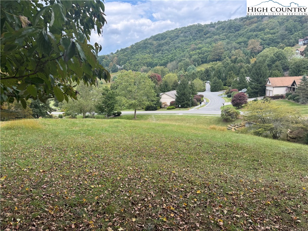 Lot #10 Orchard Lane Property Photo 23