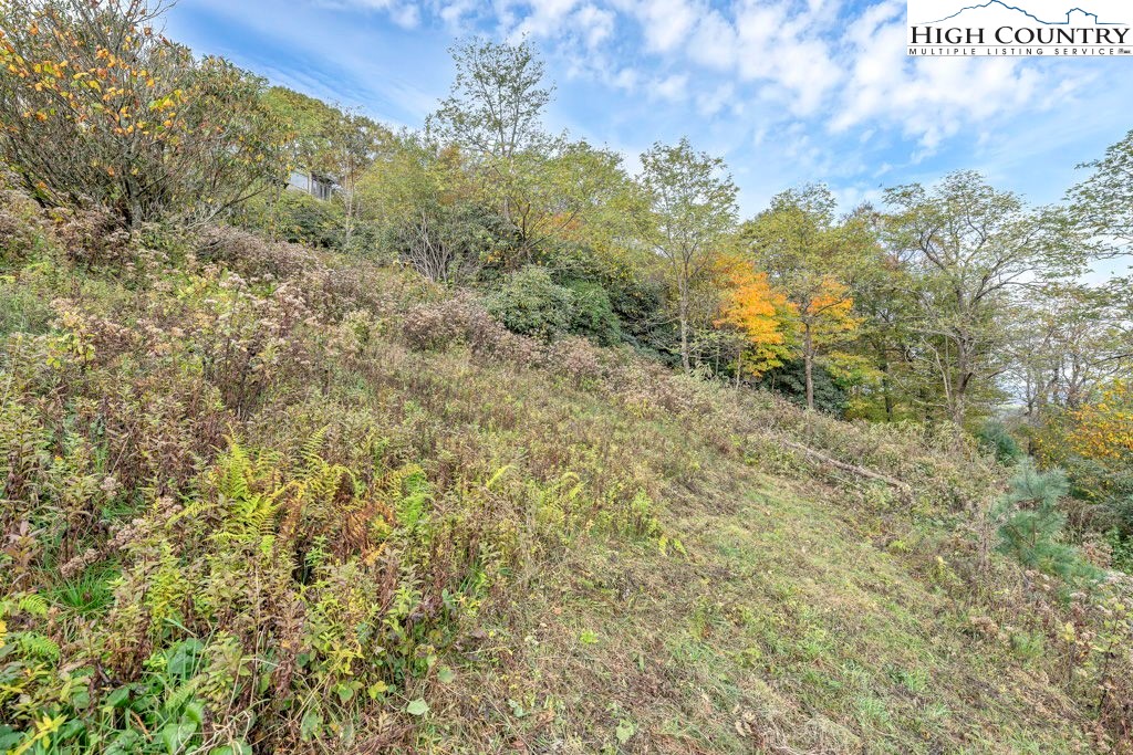 Tbd Lot 25 Antler Trail Property Photo 3