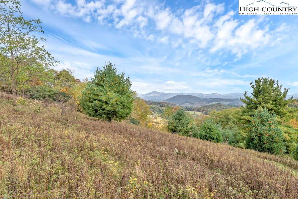 Tbd Lot 25 Antler Trail Property Photo 5