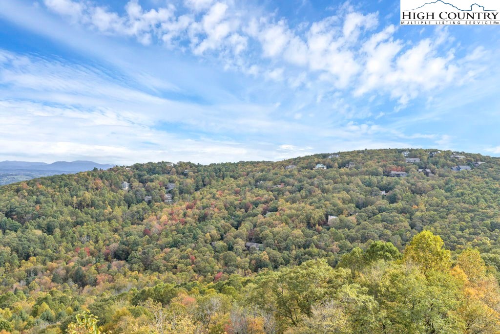Tbd Lot 25 Antler Trail Property Photo 6