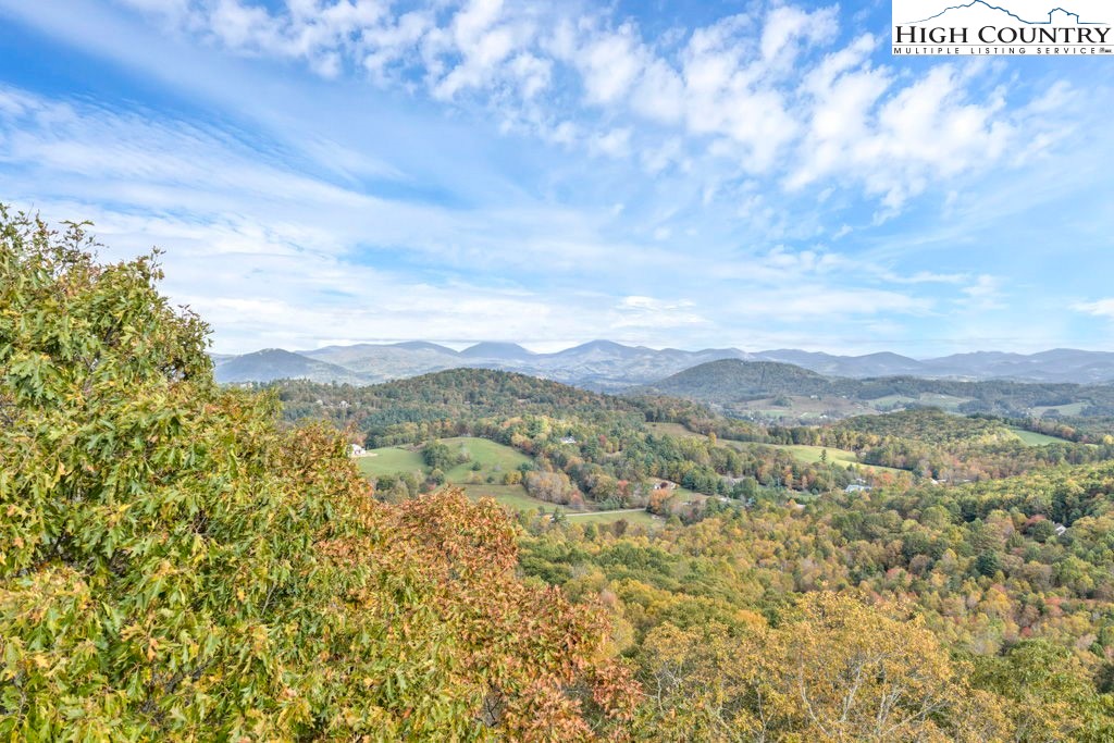Tbd Lot 25 Antler Trail Property Photo 7