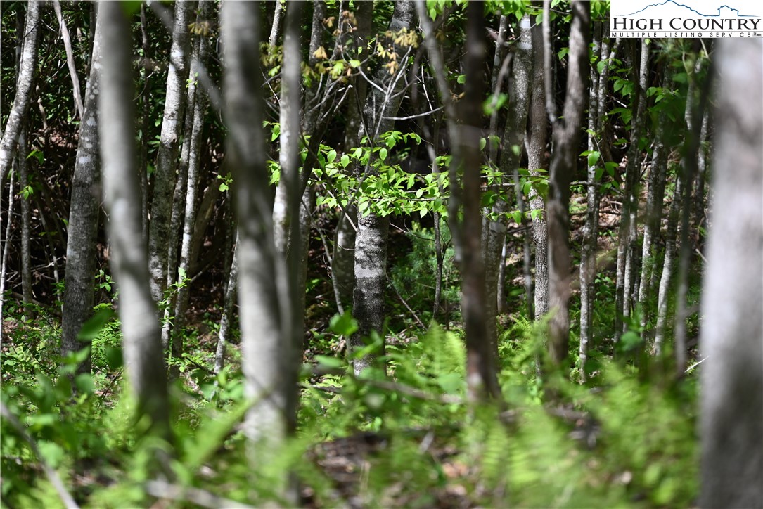 11 Knob Hill Drive Property Photo 2