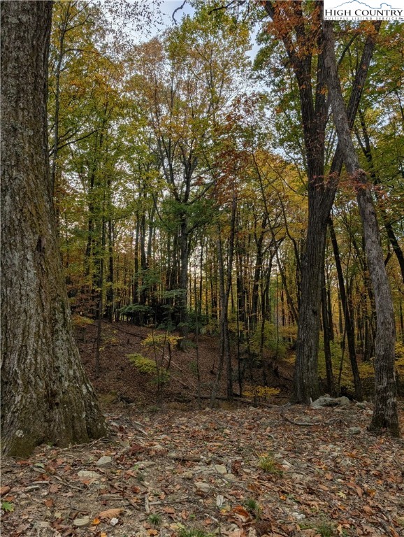 Tbd Rocky Mountain Road Property Photo 1