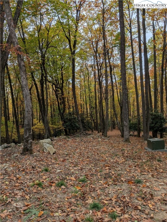 Tbd Rocky Mountain Road Property Photo 2