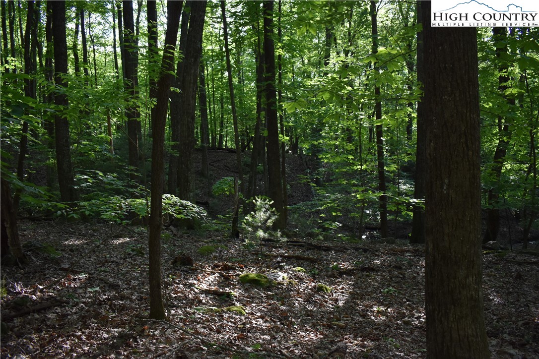 Tbd Rocky Mountain Road Property Photo 4