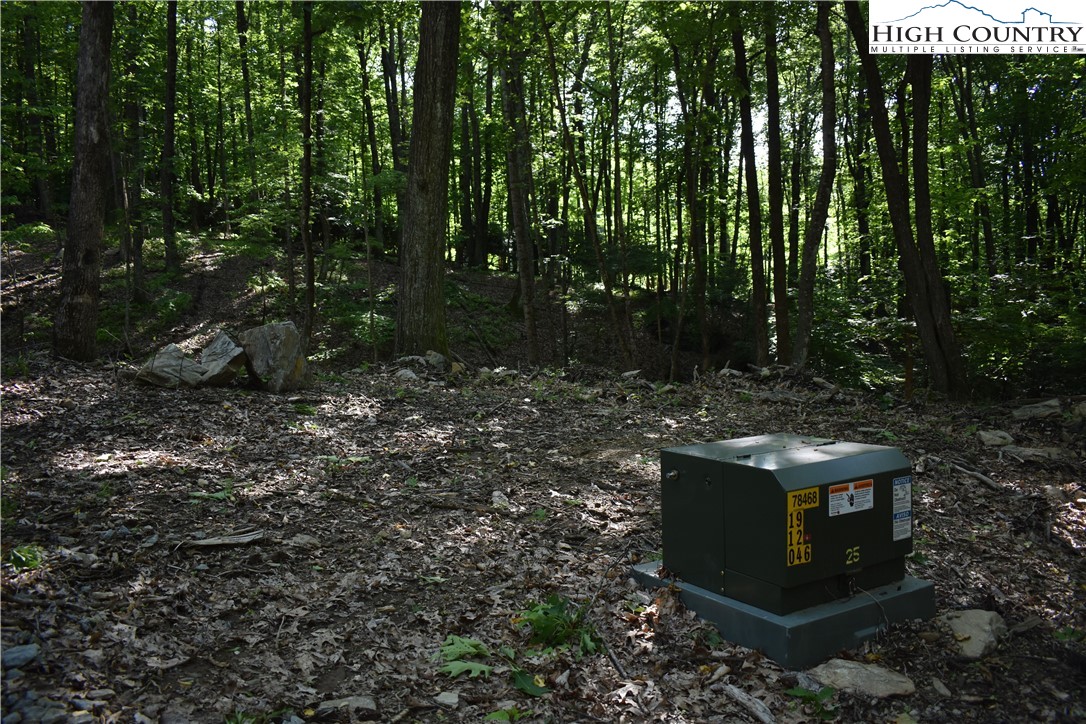 Tbd Rocky Mountain Road Property Photo 5