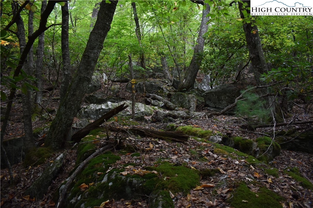 Tbd Rocky Mountain Road Property Photo 9