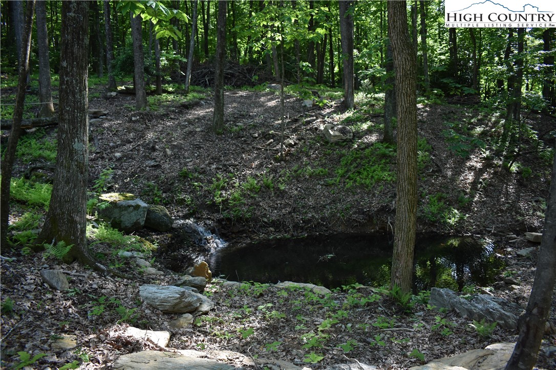 Tbd Rocky Mountain Road Property Photo 10