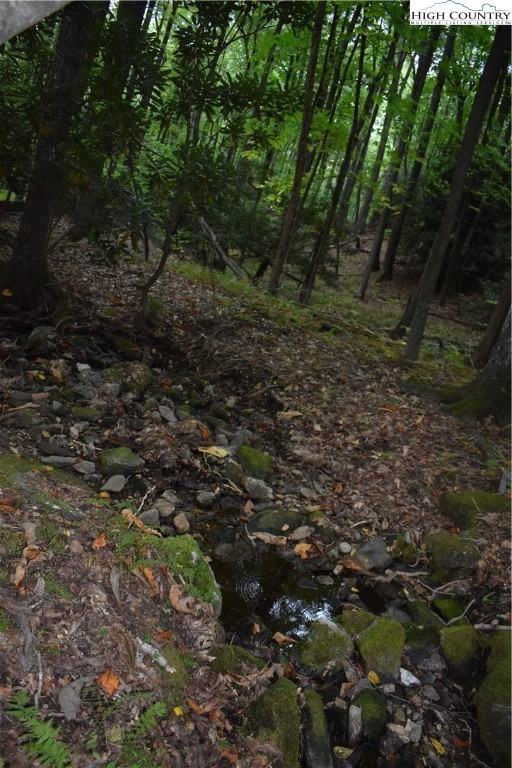 Tbd Rocky Mountain Road Property Photo 11