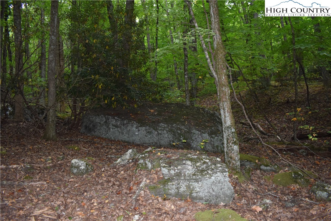 Tbd Rocky Mountain Road Property Photo 12