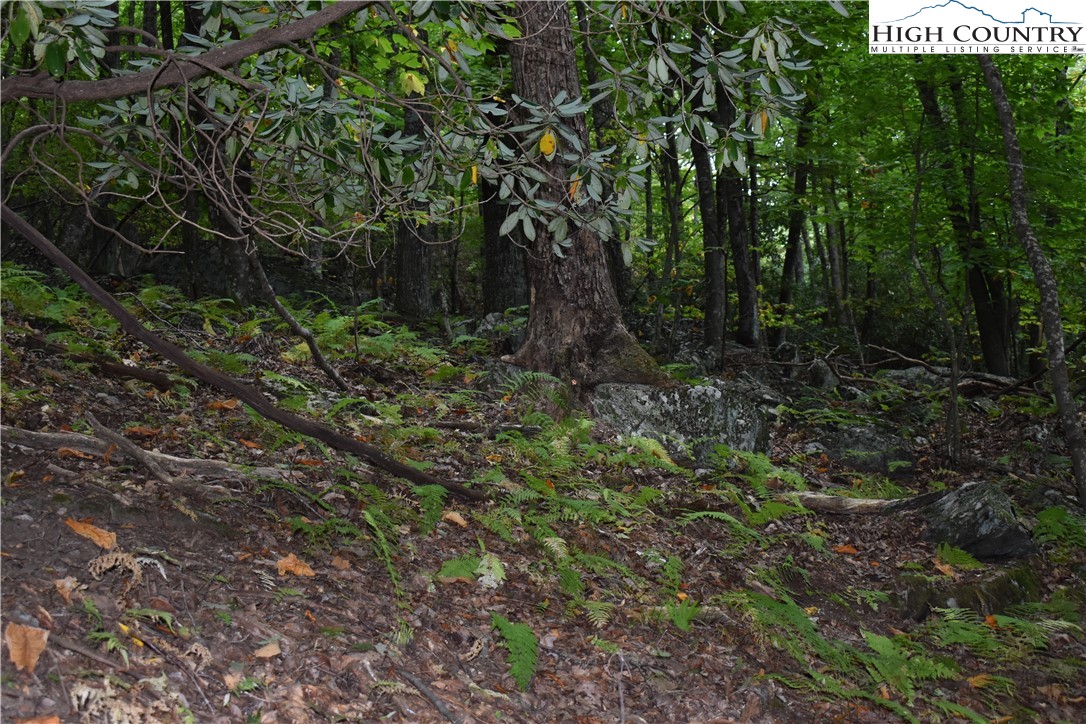 Tbd Rocky Mountain Road Property Photo 13