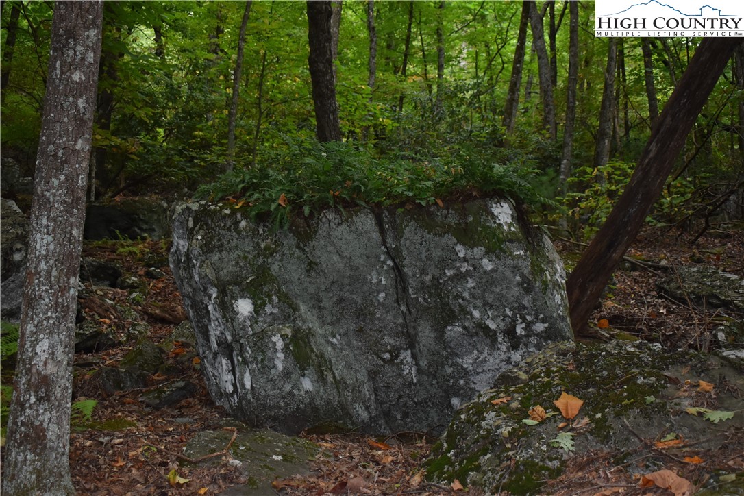 Tbd Rocky Mountain Road Property Photo 14