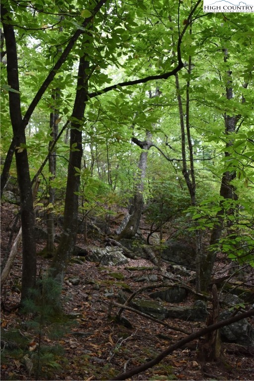 Tbd Rocky Mountain Road Property Photo 15