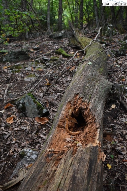 Tbd Rocky Mountain Road Property Photo 16