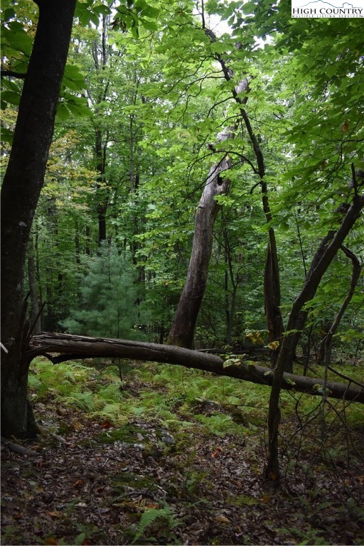 Tbd Rocky Mountain Road Property Photo 18