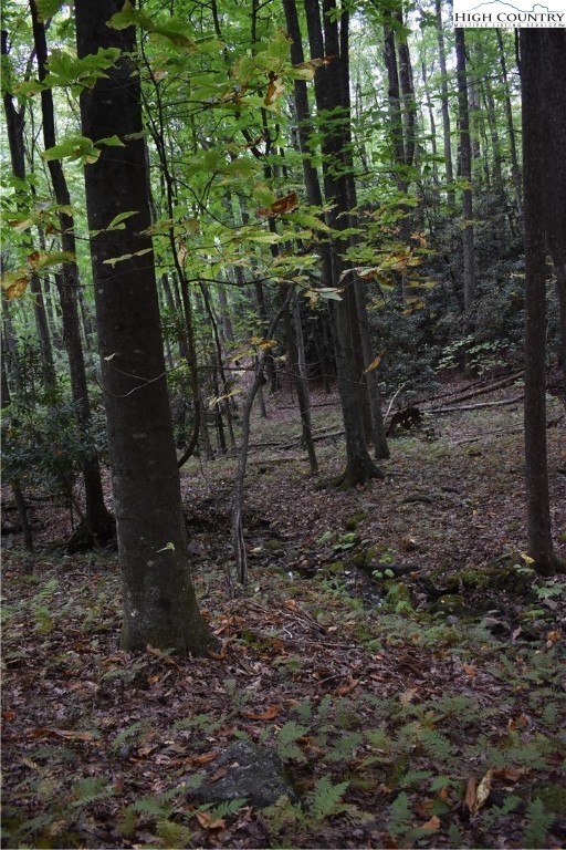 Tbd Rocky Mountain Road Property Photo 19