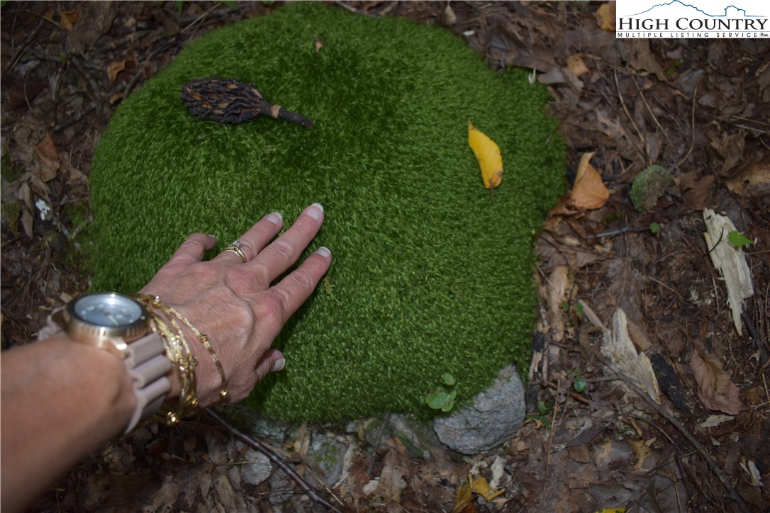 Tbd Rocky Mountain Road Property Photo 20