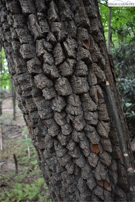 Tbd Rocky Mountain Road Property Photo 21