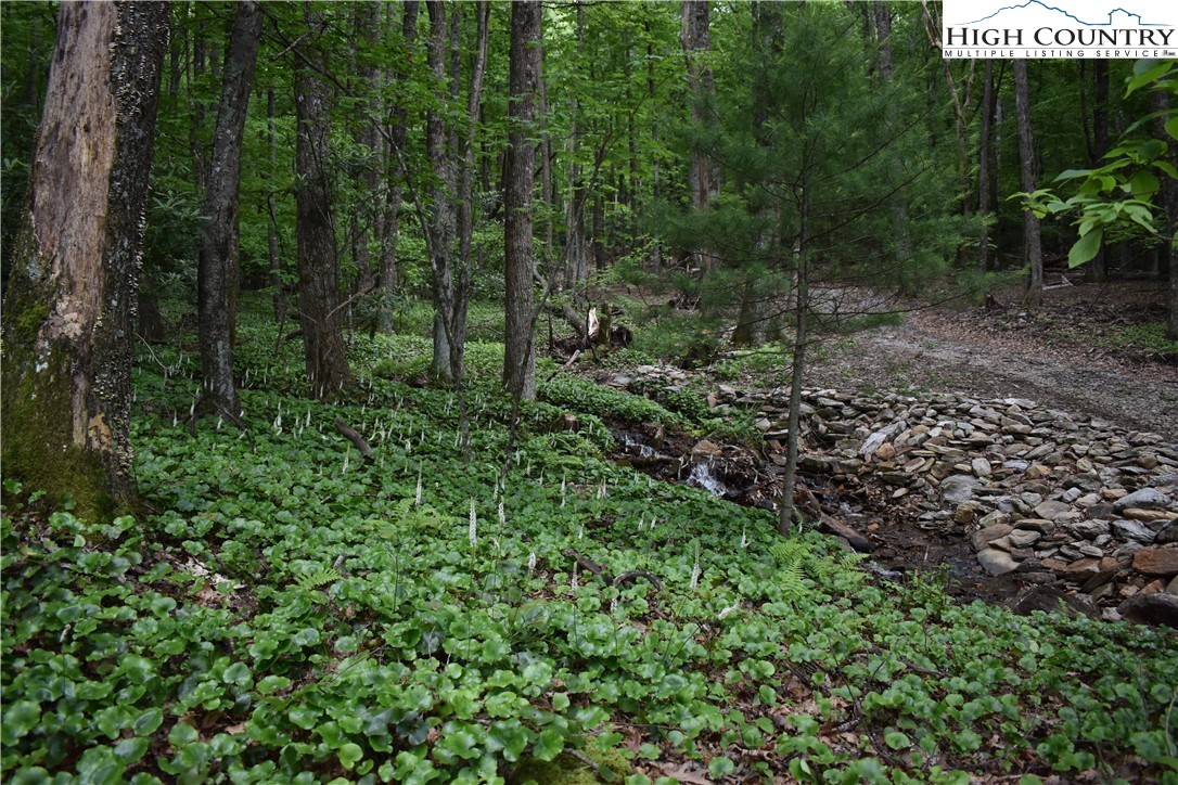 Tbd Rocky Mountain Road Property Photo 22