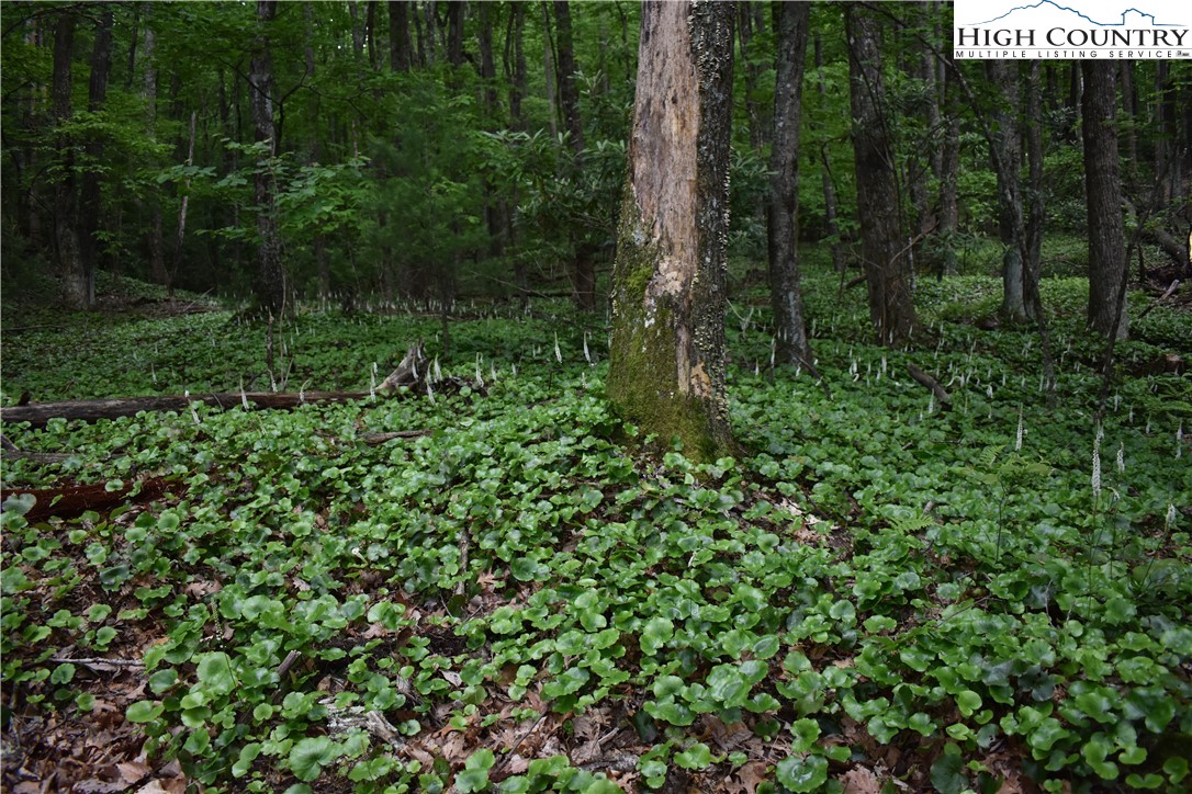 Tbd Rocky Mountain Road Property Photo 23