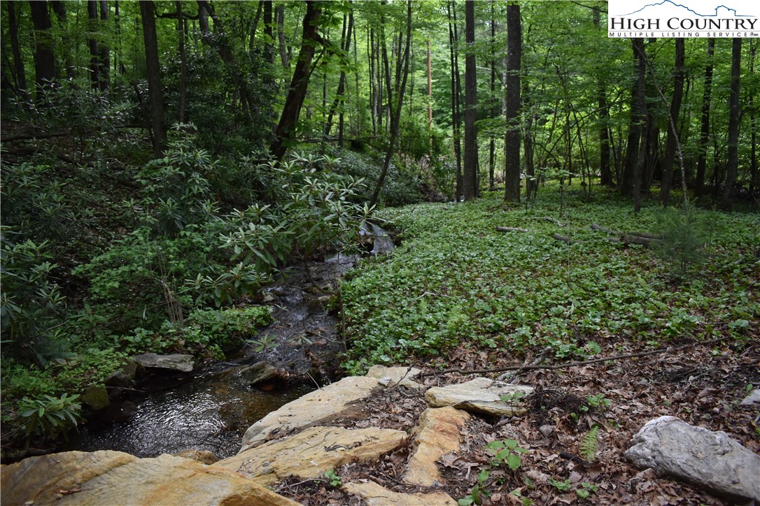 Tbd Rocky Mountain Road Property Photo 24