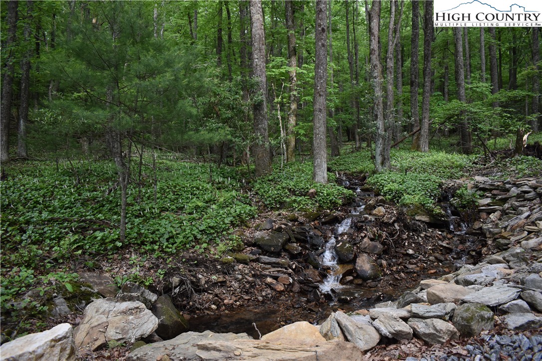 Tbd Rocky Mountain Road Property Photo 25