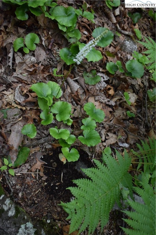 Tbd Rocky Mountain Road Property Photo 27