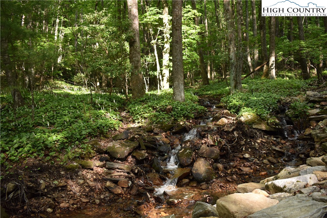 Tbd Rocky Mountain Road Property Photo 30