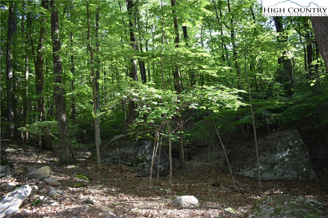 Tbd Rocky Mountain Road Property Photo 33