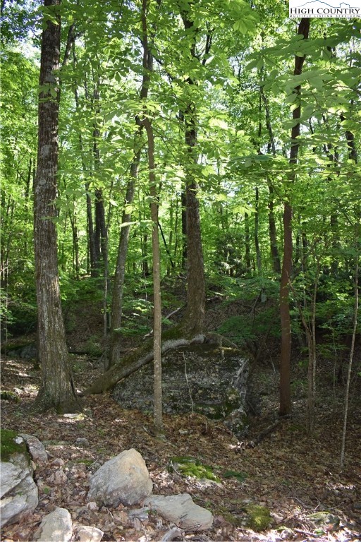 Tbd Rocky Mountain Road Property Photo 34