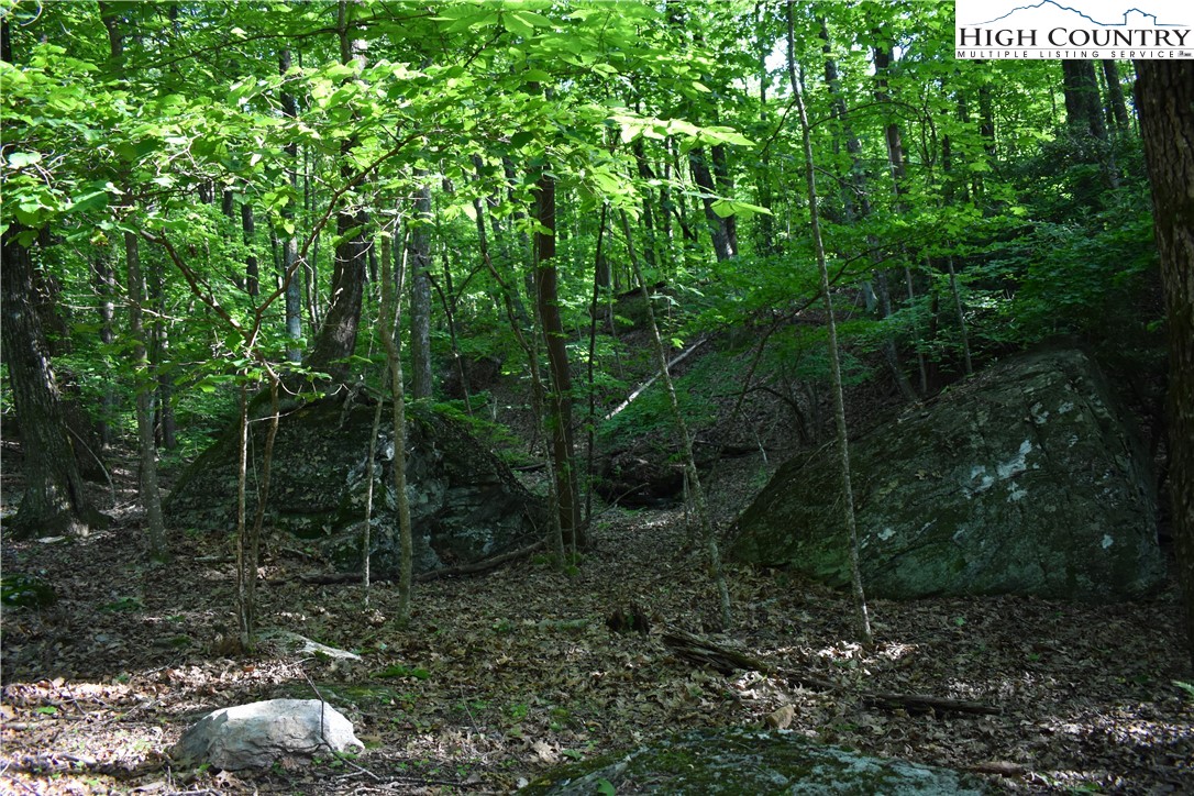 Tbd Rocky Mountain Road Property Photo 35