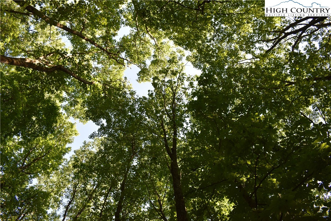 Tbd Rocky Mountain Road Property Photo 36