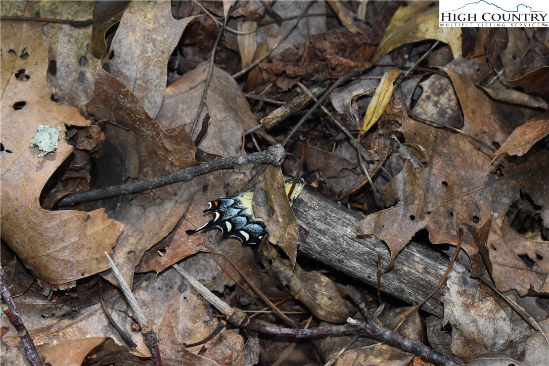 Tbd Rocky Mountain Road Property Photo 37