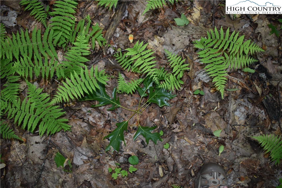 Tbd Rocky Mountain Road Property Photo 38