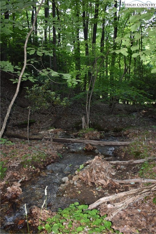 Tbd Rocky Mountain Road Property Photo 41