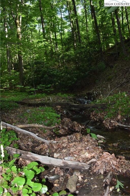 Tbd Rocky Mountain Road Property Photo 42