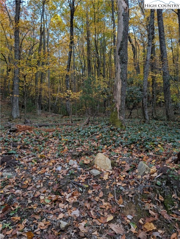 Tbd Rocky Mountain Road Property Photo 43