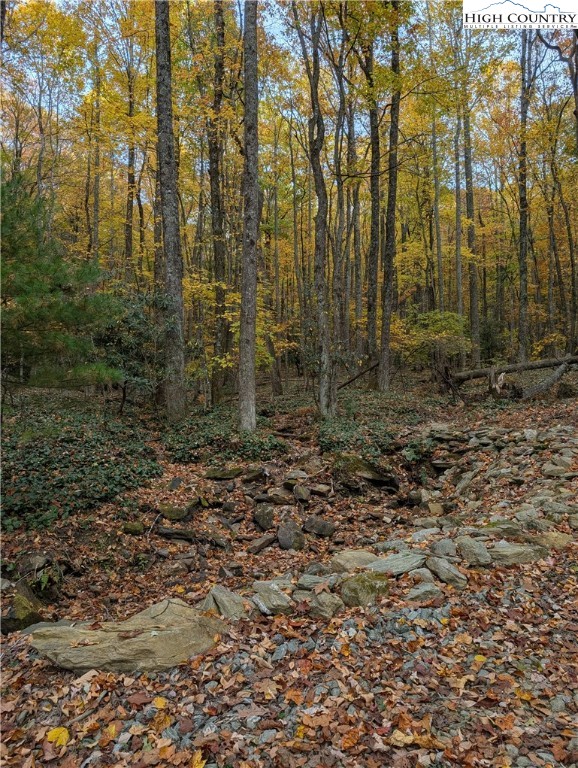 Tbd Rocky Mountain Road Property Photo 44