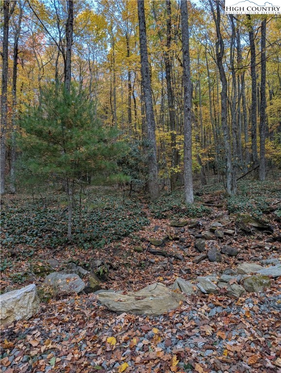 Tbd Rocky Mountain Road Property Photo 45