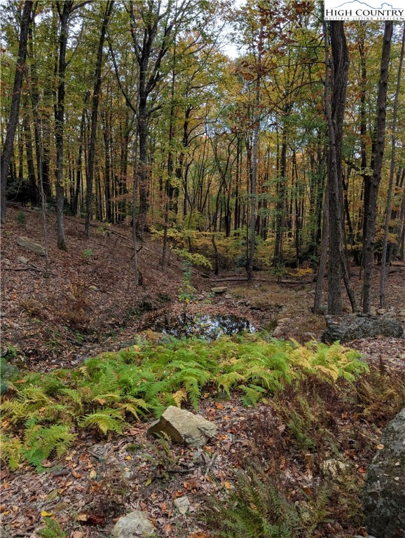 Tbd Rocky Mountain Road Property Photo 46