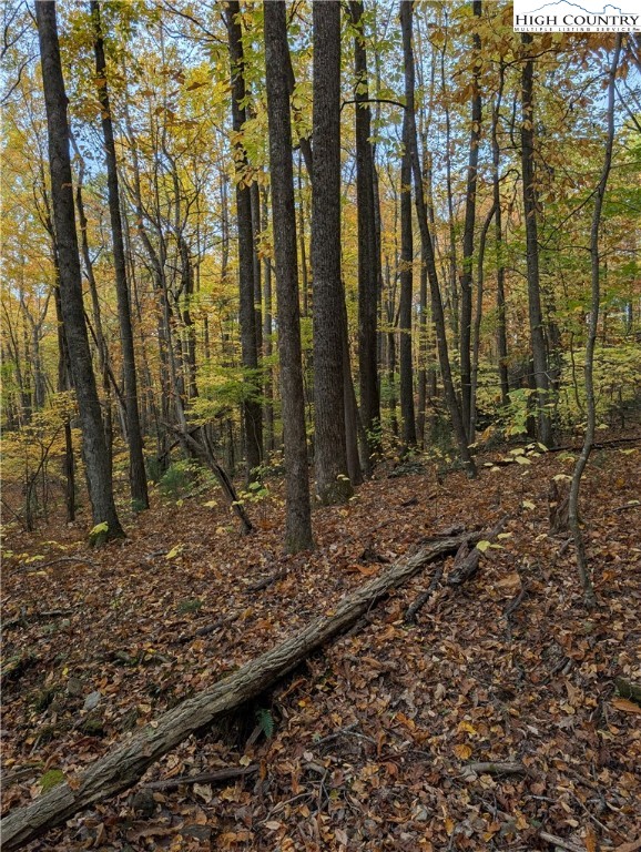 Tbd Rocky Mountain Road Property Photo 49