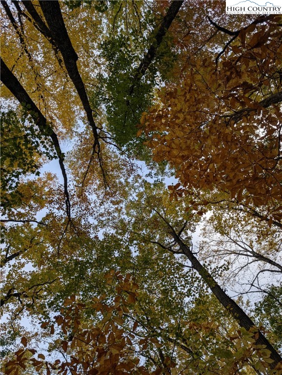 Tbd Rocky Mountain Road Property Photo 50