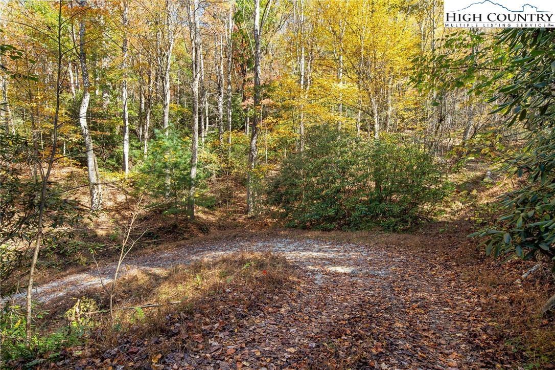 Tbd Monroe Herman #1 Road Property Photo 8