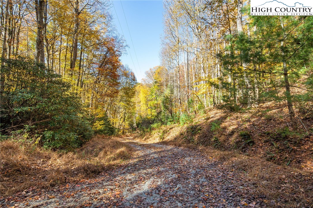 Tbd Monroe Herman #1 Road Property Photo 10