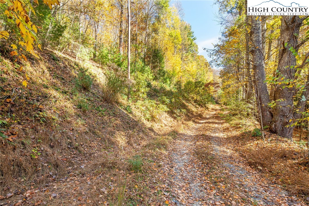 Tbd Monroe Herman #1 Road Property Photo 11