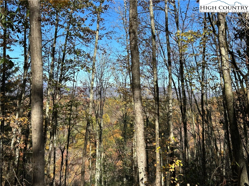 Lot 4b & 5 Chestnut Mountain Road Property Photo 19