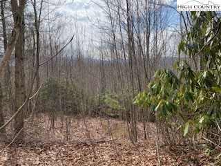 Tbd Summit Dr. Drive Property Photo 3