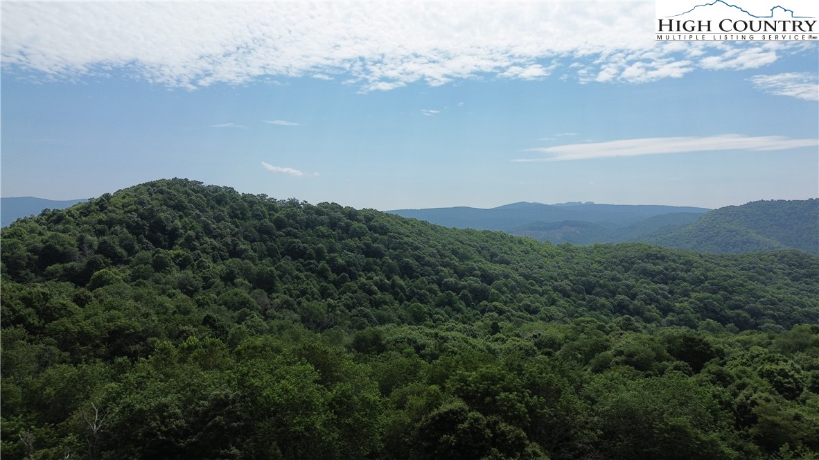 Lot 38 May Apple Trail Property Photo 1